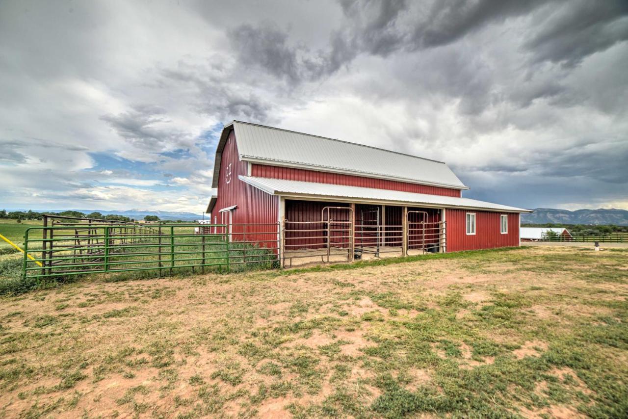Walkout Apartment With Mtn View On Cortez Ranch Exterior photo